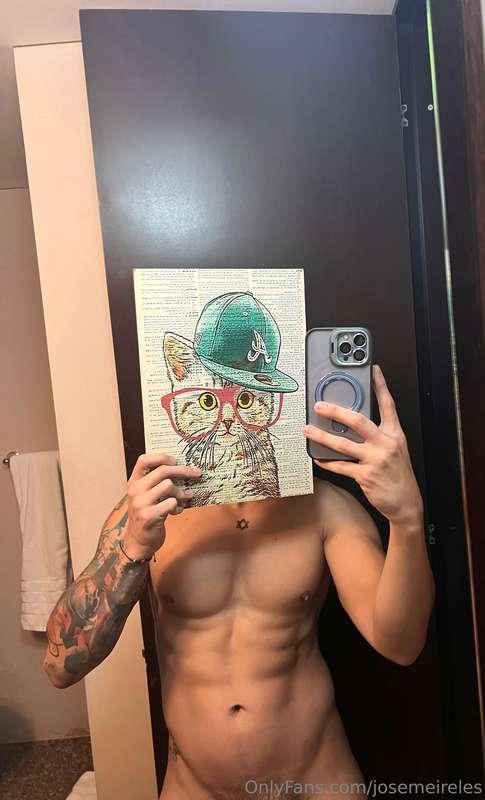 Gato 
