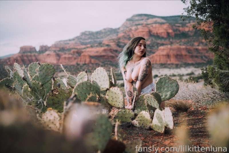 itslunalore image #1