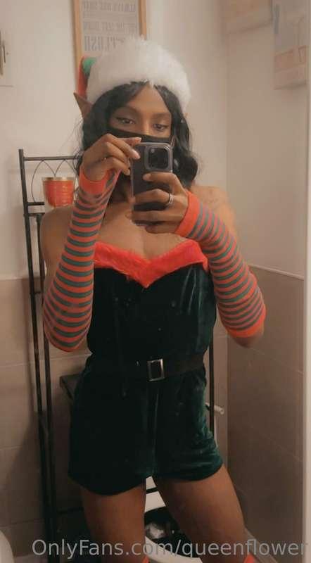 queenflower image #0