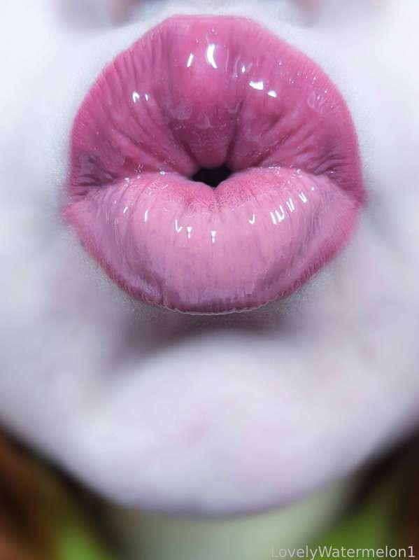 lovelywatermelon1 image #11