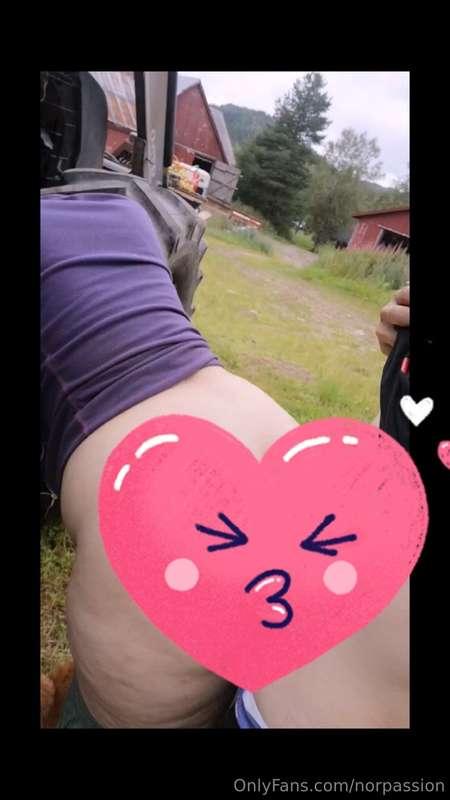 Ville gi mannen en lunsjpause han sent vil glemme 🤭 #farmlif..