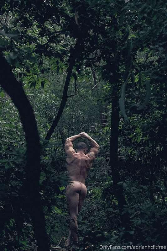 🌲🌱Diós me trajo al mundo en la naturaleza🌱🌲