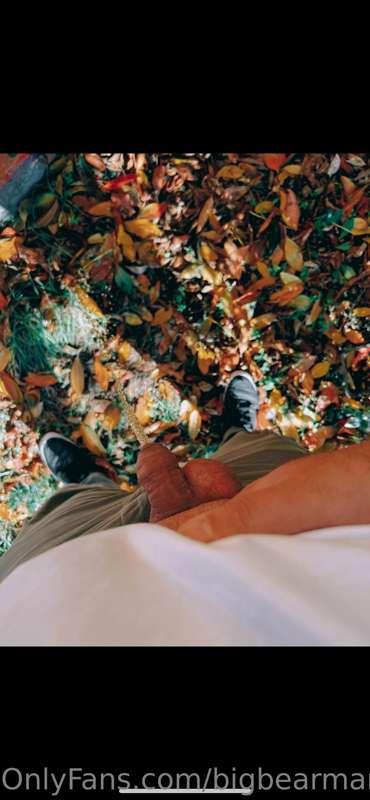 🍁🍂
