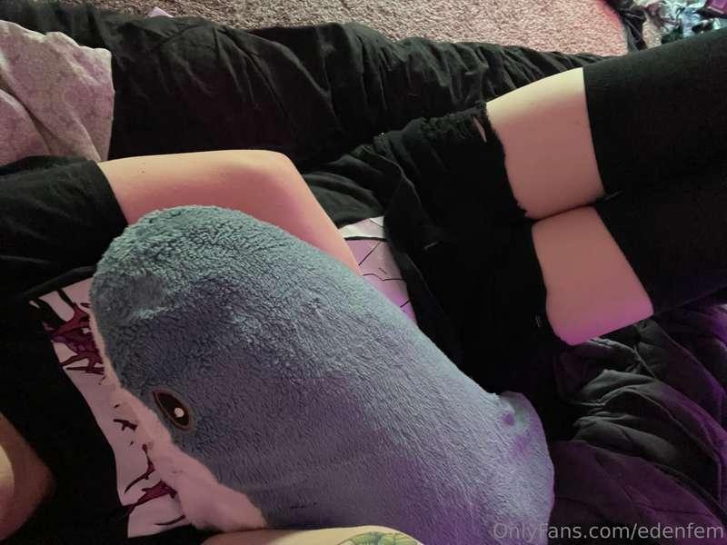 Sorry for not many posts in the past week, been feeling unwe..