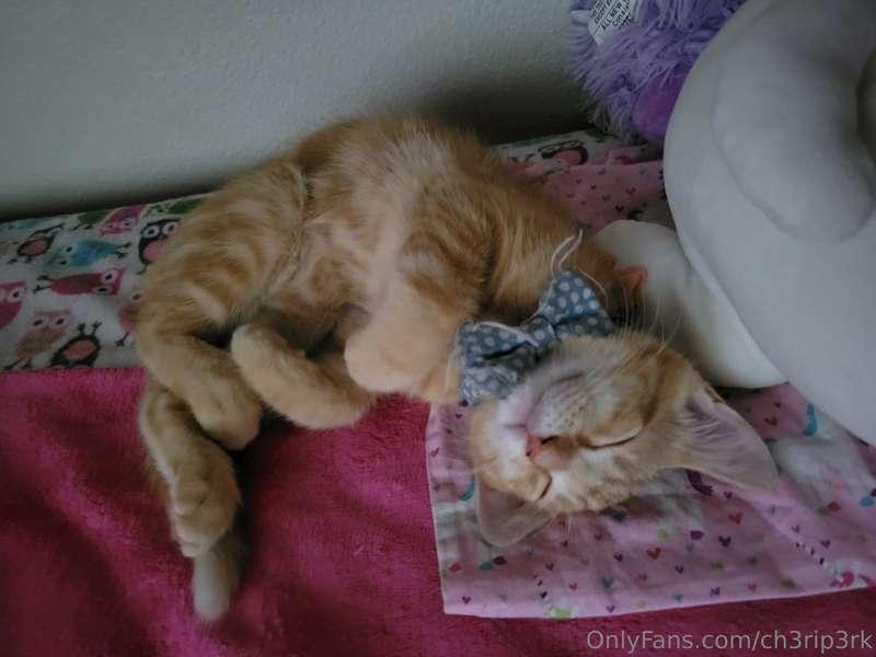 These pics are proven to boost your mood and start your day ..