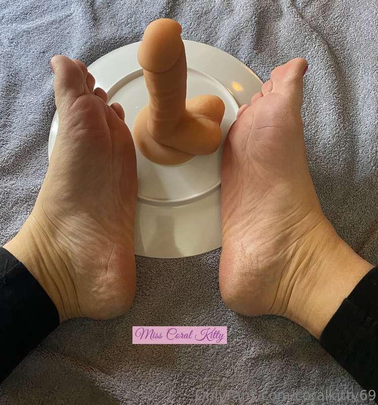 coralkitty69 image #0