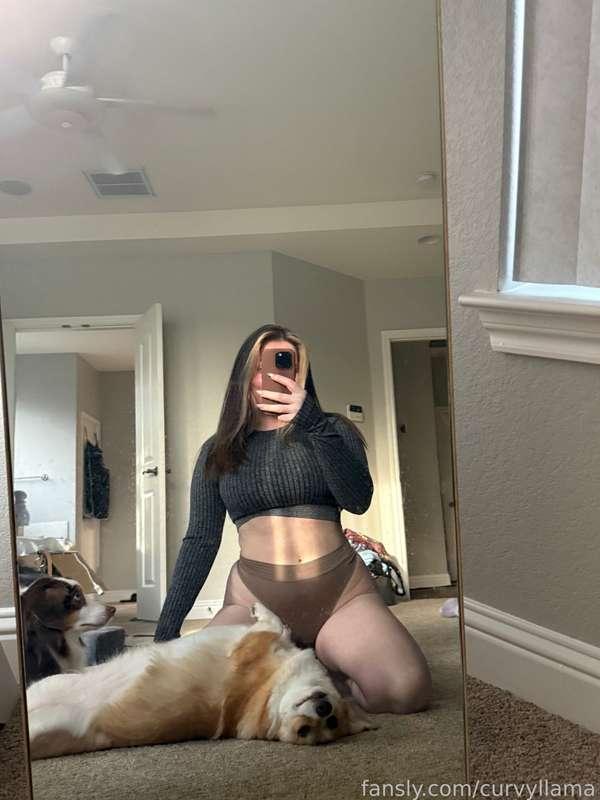 curvyllama image #4