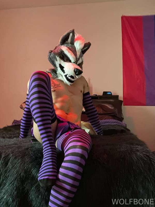 Wolf has a soft side too! Can you unlock it?
