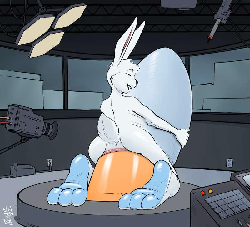 The Flurry Testing Facility
