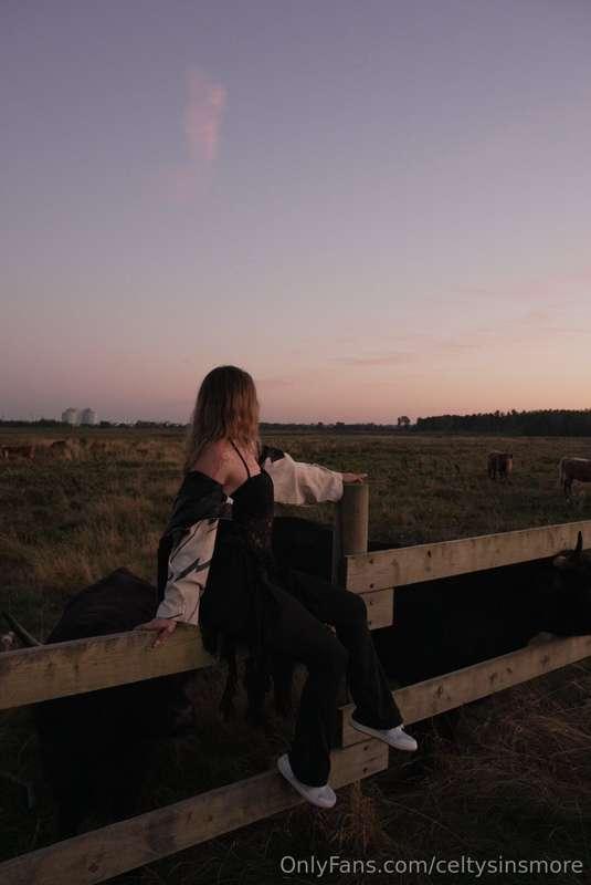 The Golden Hour, my favorite time of day 😉