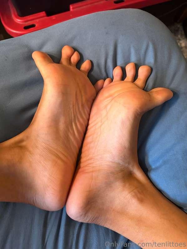 🍦🍦🍦