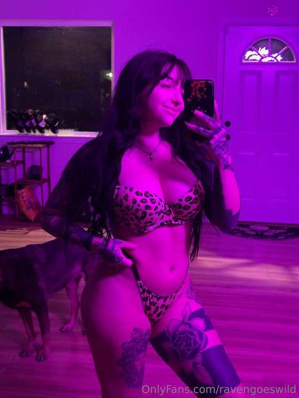 wild thing 🐆