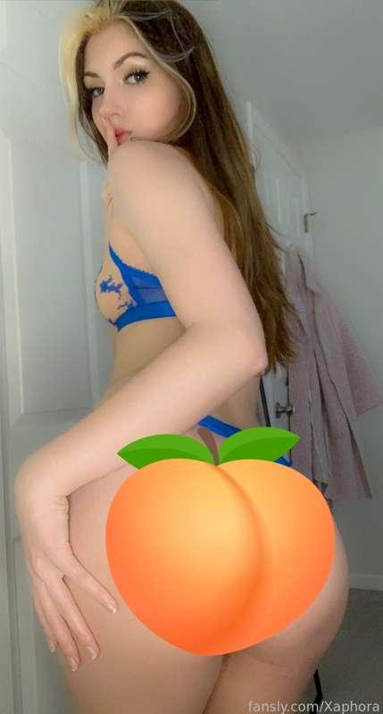 xaphora image #1
