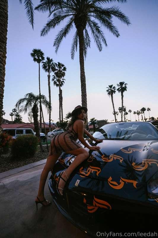 missing them palm trees right about now