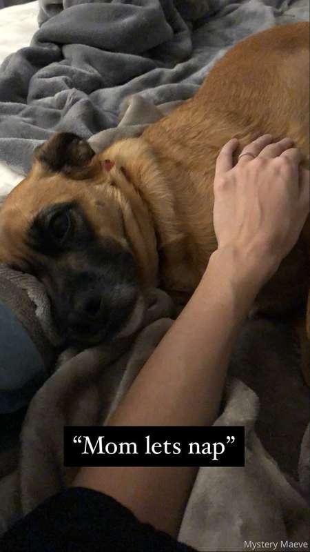 Back to snoozes I think I go