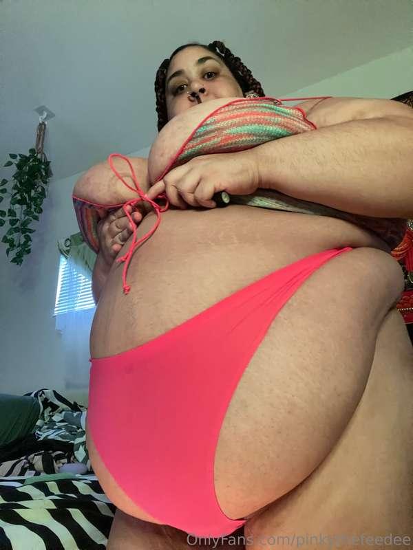 pinkythefeedee image #1