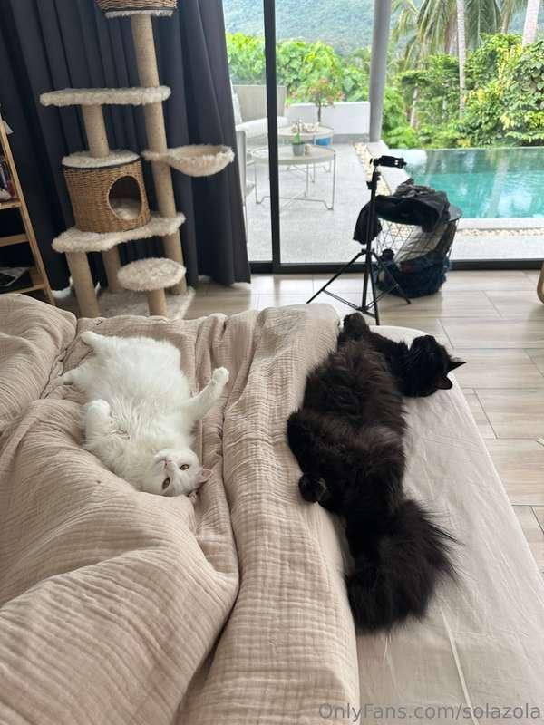 My fluffy bundles of joy 🐾