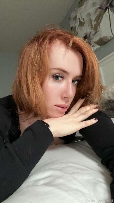 shiriallwood image #0