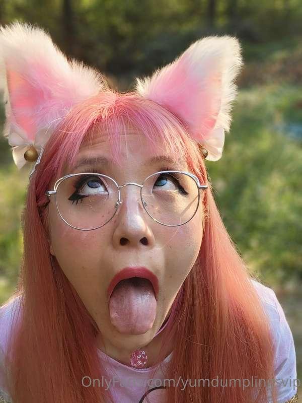 yumdumplingsvip image #3