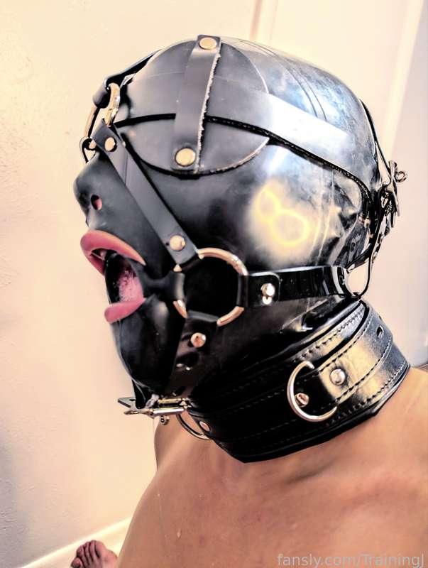 trainingj image #4
