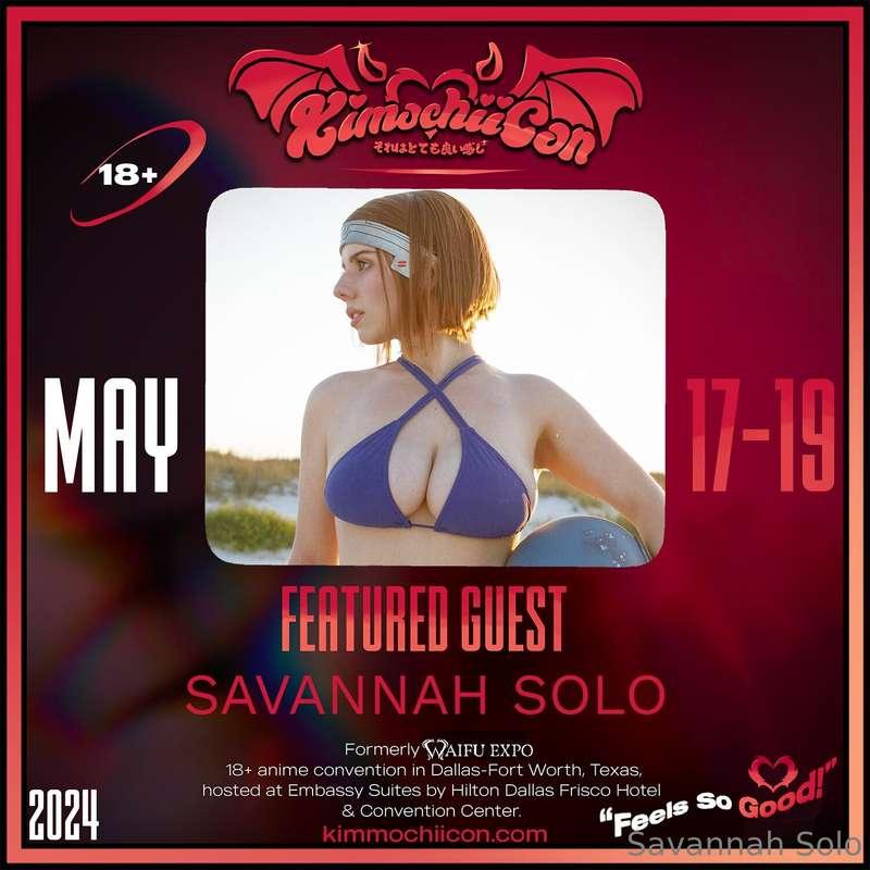 savannahsolo main image