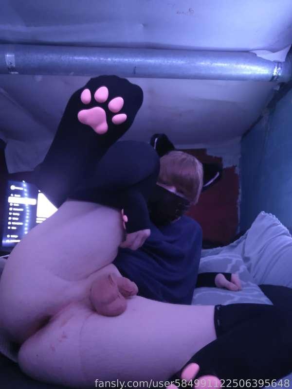 Kitty needs milk 👀