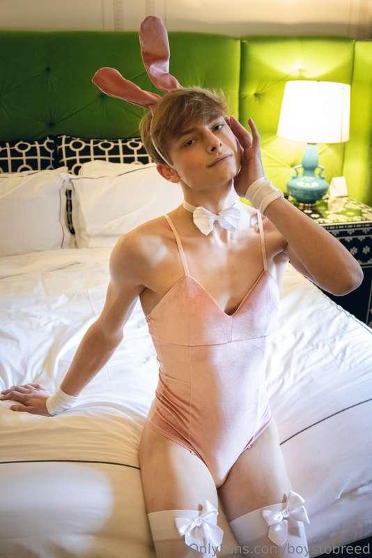 He’s soft. He’s sassy. He’s every pastel dream you’ve ever h..