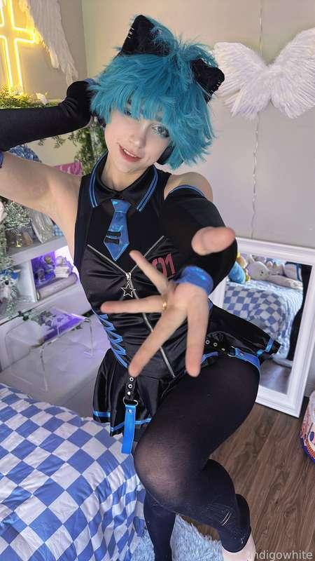 indigowhite image #123