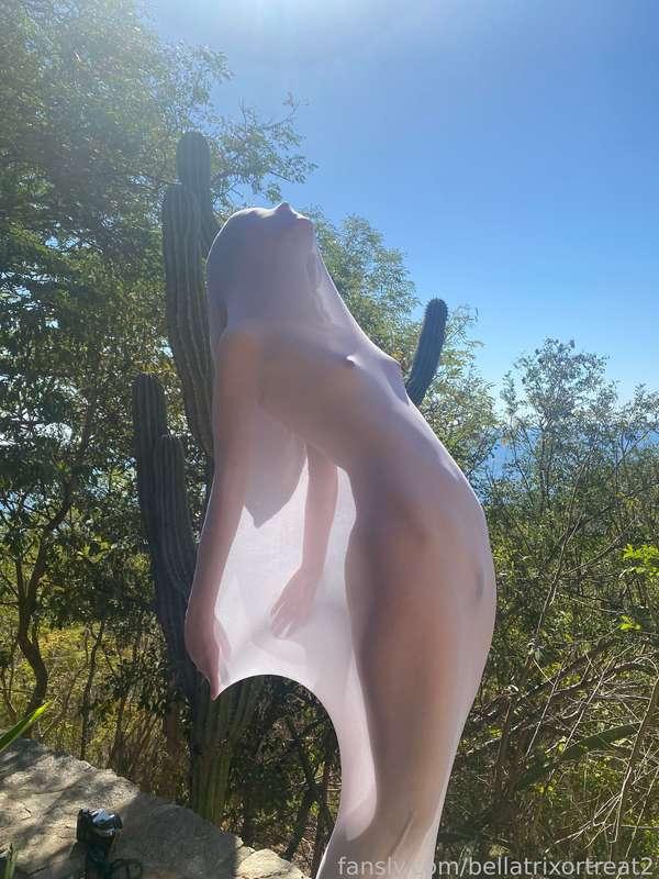 bellatrixortreat2 image #6