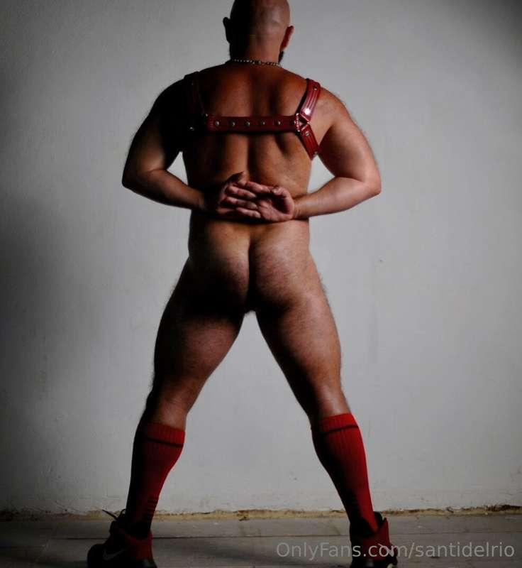 Muscle hairy daddy looking for you
