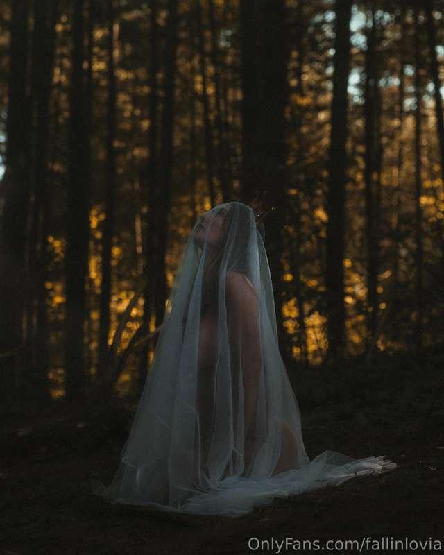 The leaves are turning, and so is my calendar. November, let..