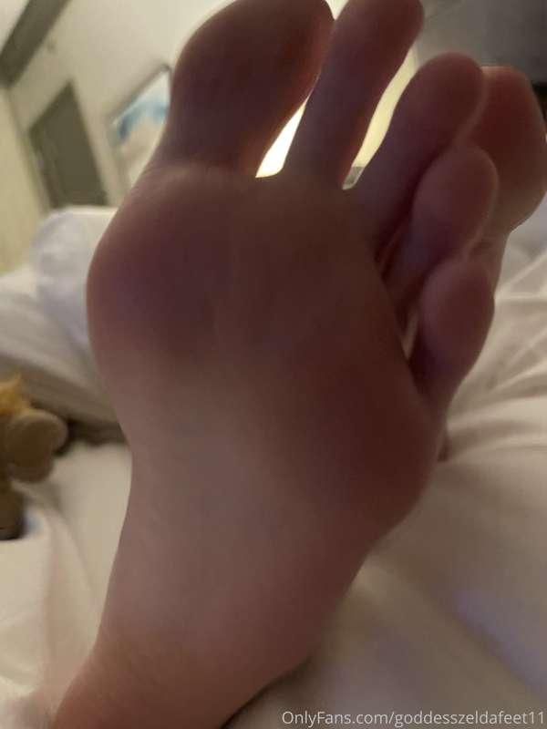 goddesszeldafeet11 image #0