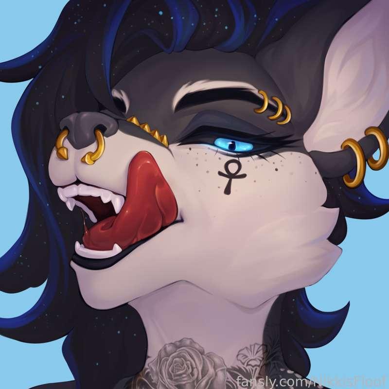 nikkisfloof image #0