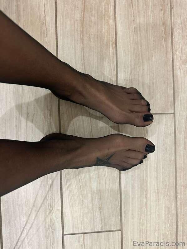 There's something so simple yet SEXY about these stockings.