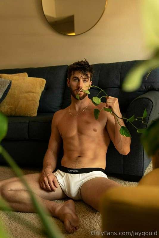 Your friendly local Plant Daddy 🌿