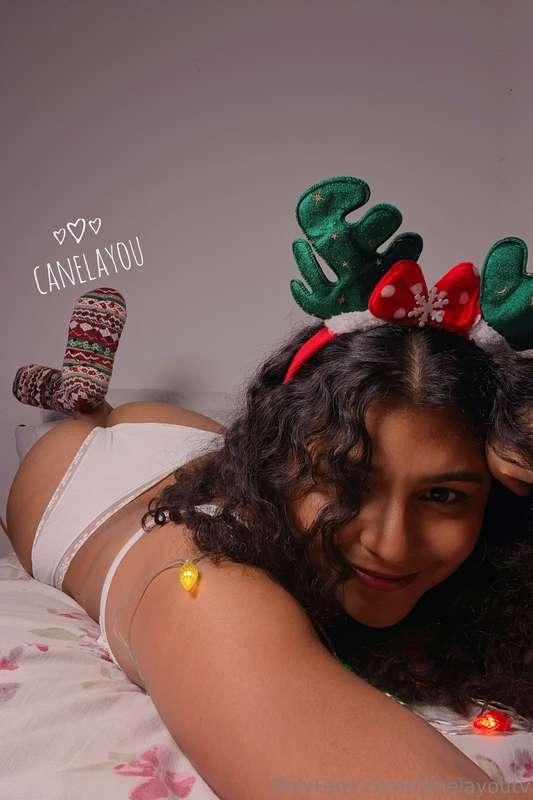 canelayoutv image #0