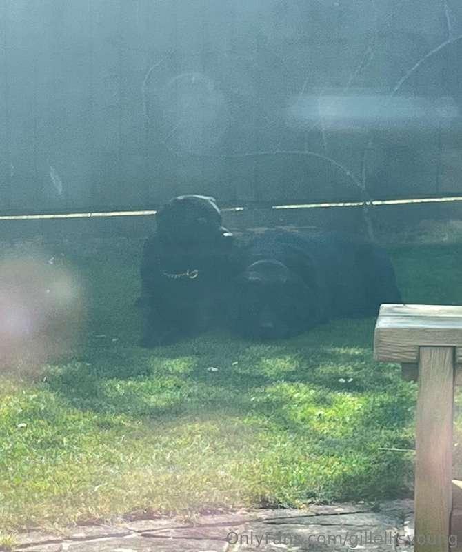 Poppy and hunter are topping up there tans 🥰❤️‍🔥❤️‍🔥❤️‍🔥