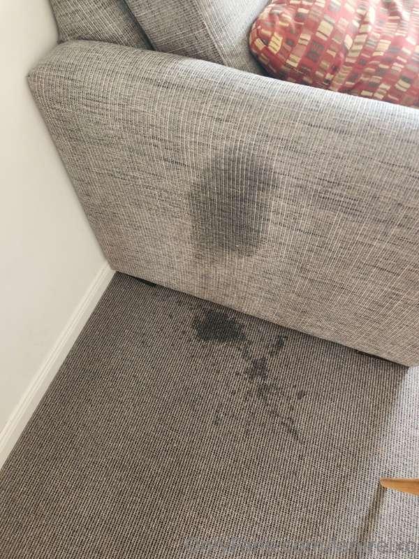 There was this weird leak at my hotel the other day.... just..