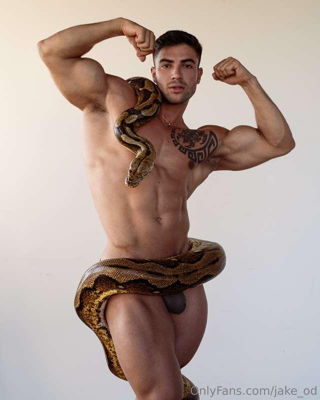 jake_od image #4