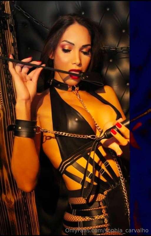 sophia_carvalho image #2