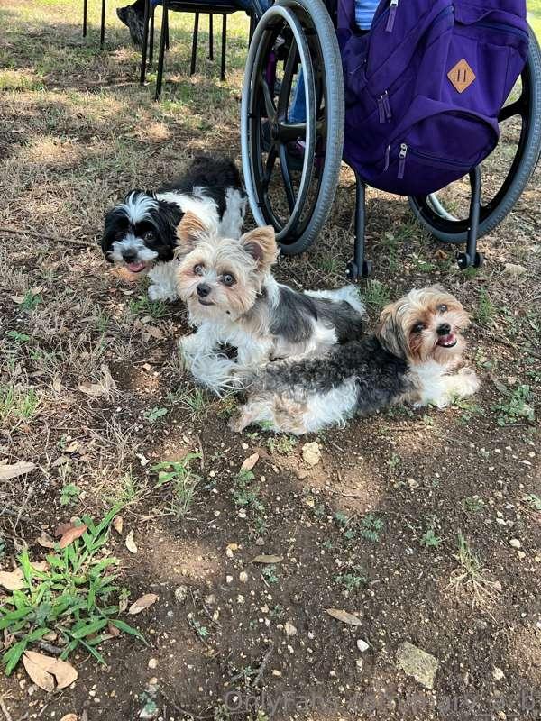 A social gathering ... Probably conspiring against me 😋💗