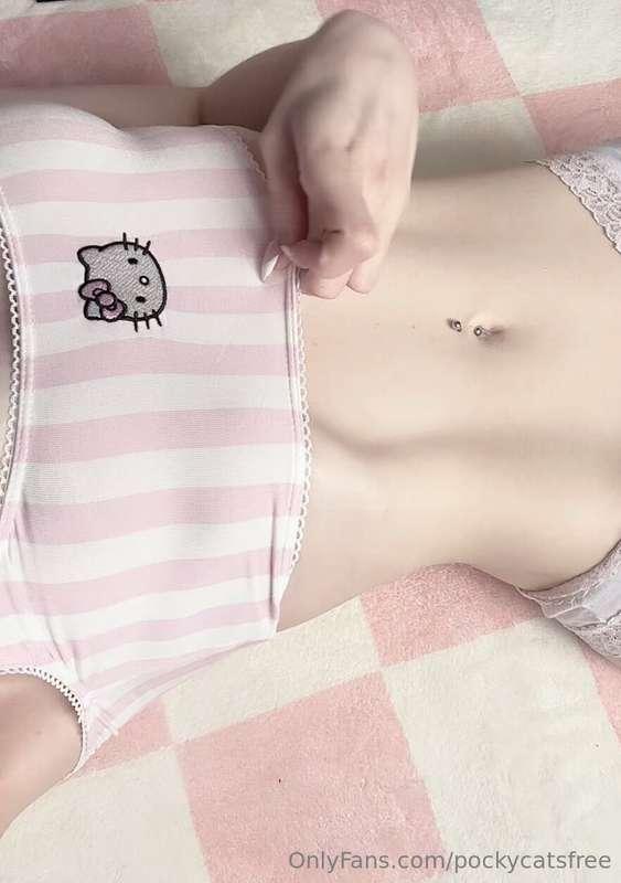 pockycatsfree image #0