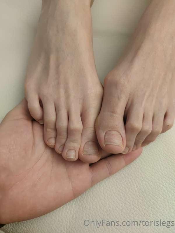 torislegs image #3