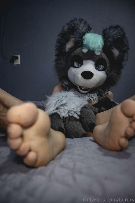 Happy #Murrsuitmonday