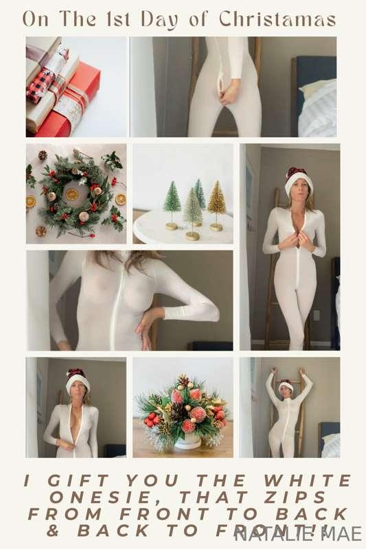 ***On the 1st day of Christmas you'll get me in my Naughty W..