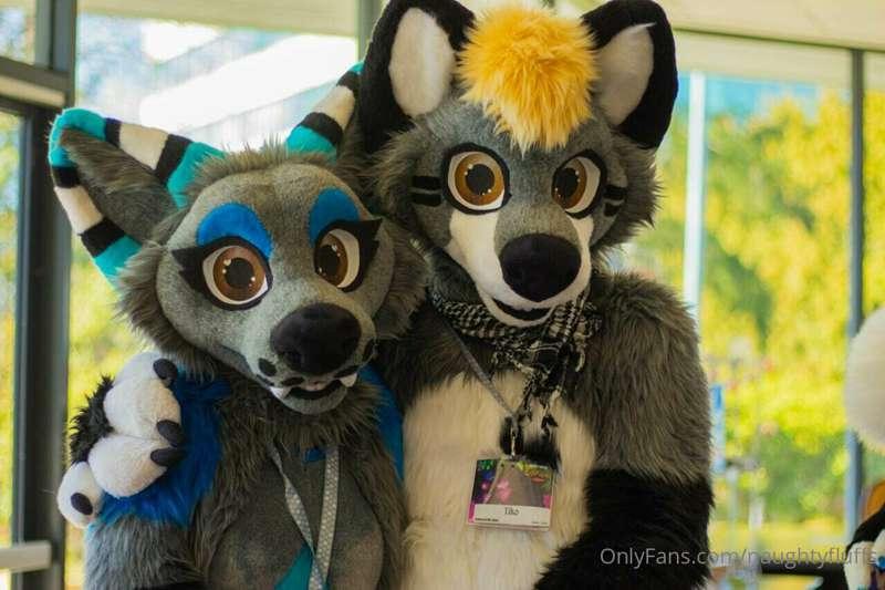 Thanks for all the recent support cuties! We want to make yo..