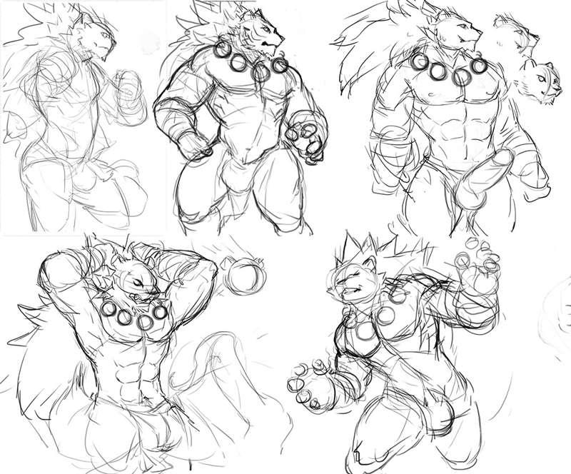 cheetahpaws main image
