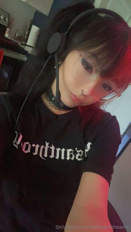 Hi 😽