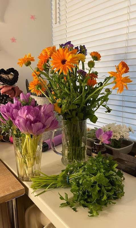 Spent today with my family and on the way back near the subway I couldn't resist and bought all these flowers from a nice old lady, all beauty for $3 and she made me take the parsley as a gift because I paid more 🥹 