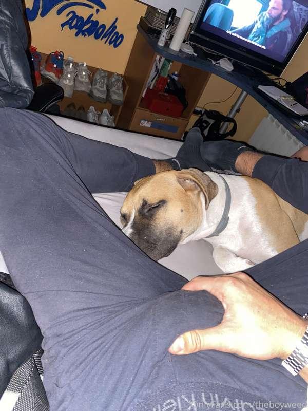 With my little dog 🐶🐶